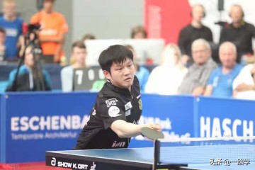 德甲联赛:樊振东3-0!从两连败到三连胜,无排名选手在适应比赛