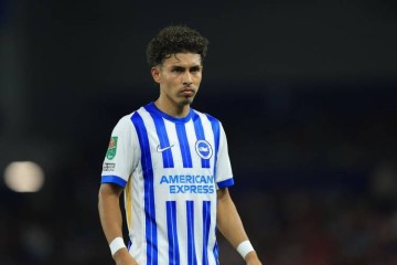 罗马诺&迪马:克雷莫纳租借布莱顿边锋萨米恩托 球员可能今晚抵意