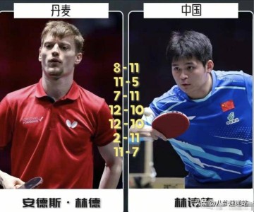 万万没想到!樊振东即将迎战德甲最强对手,是曾击败林诗栋的他