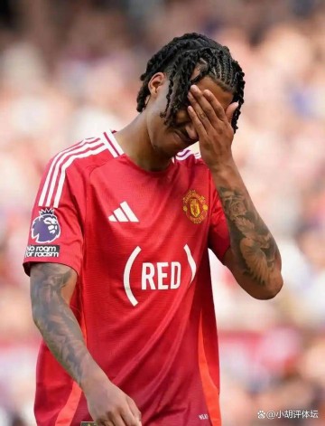 阿莫林赢了!曼联重返欧冠,B费明年有可能留队,协助阿莫林复兴